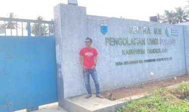 SIKM Pengolahan Umbi Porang Pandeglang tidak ada tanda akan di manfaatkan