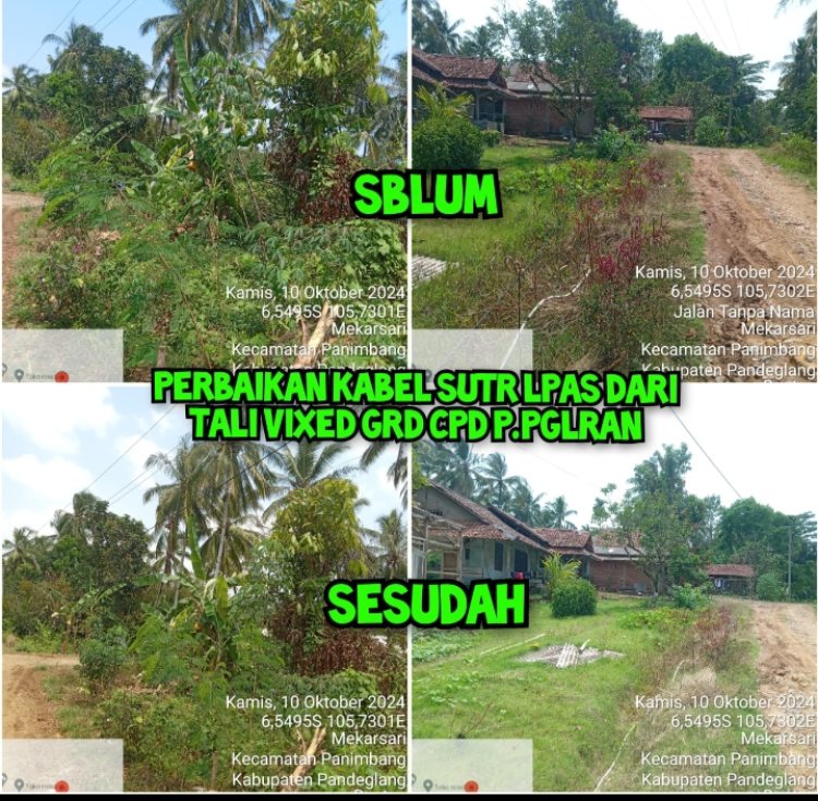 Warga Kampung Geunir Desa Mekar Sari Apresiasi Atas Sigapnya Pelayanan PLN Terkait Kabel Jaringan Yang Terkelupas.