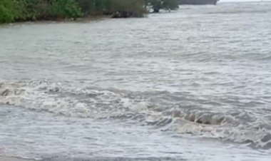 KAWAL Soroti Penanganan Tongkang Dan Batu Bara Di Pulau Popole Cigondang Labuan.