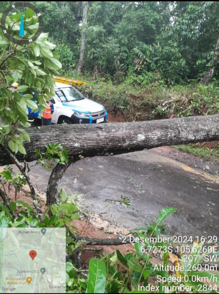Sebagian Wilayah Pandeglang Banjir Serta Banyak Pohon Tumbang Akibat Cuaca Ekstrim, PLN ULP Labuan Gercep Atasi Gangguan Listrik.
