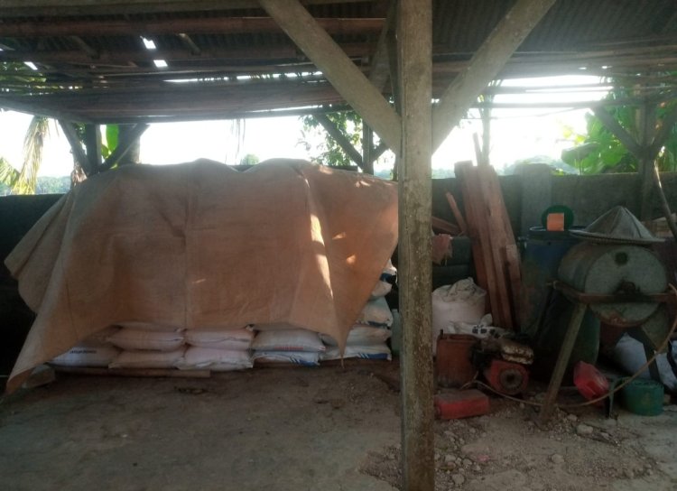 Sakti, Diduga Satu Orang Menjabat Tiga Jabatan Sekaligus Dikecamatan Patia,  Pj. Kades Rahayu, Ketua Poktan Ciawi & ASN