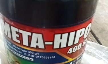 Petani Dipungut Biaya Oleh Ketua Poktan, Untuk Mendapatakan Obat Pertanian, Didesa Pejamben Carita