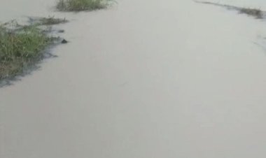 Tambak Udang Didesa Mekarsari, Panimbang Dikeluhkan Warga Disinyalir Membikin Banjir Pesawahan.