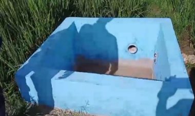 Sakti, Anggota BPD Sukalangu Saketi Rangkap Ketua Poktan Lingar Tani &  Program  Irpom 2024 Poktan Kubang Dahu Asal Jadi