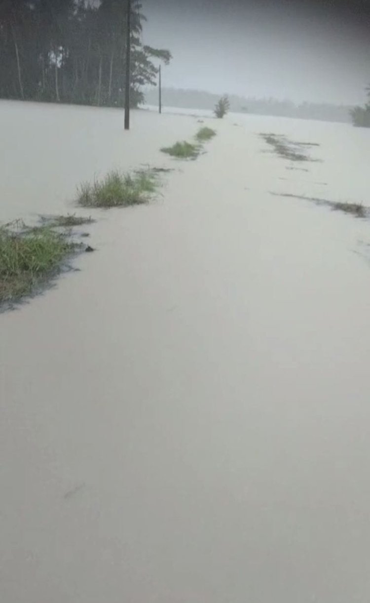 Tambak Udang Didesa Mekarsari, Panimbang Dikeluhkan Warga Disinyalir Membikin Banjir Pesawahan.