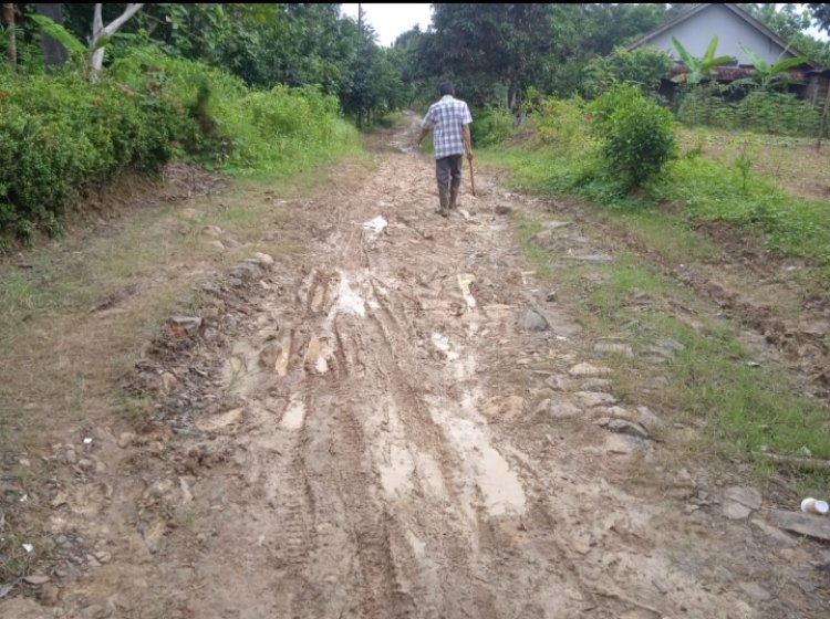 Warga Kampung Ciawi Desa Cipinang Kabupaten Pandeglang Keluhkan Jalan Seperti Kubangan Kerbau.