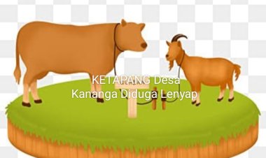 Diduga Hewan Ternak Program Ketapang Dari DD Kananga Kecamatan Menes Raib & Kerbau Diduga Dijual Oknum BPD.