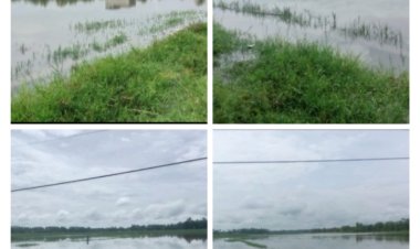 Pesawahan Masyarakat Desa Mekarsari Kampung Pelered Kembali Di Rendam Banjir