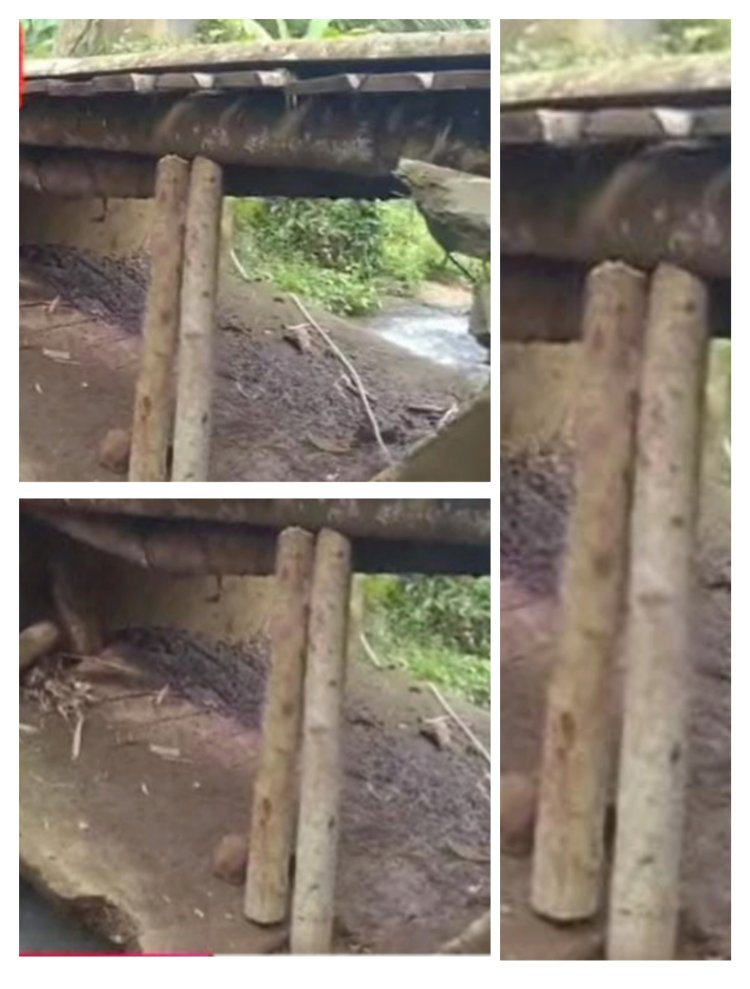 Jembatan Jalan Poros Desa Sinar Jaya Disinyalir Membahayakan Kendaraan Yang Melintas, GWI Ucap "Ini PR Kedepan Untuk Bupati Dan Gubernur Terpilih"