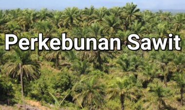 Terjadi Penyalahgunaan Wewenang Di PTPN III & VIII Kertajaya Picung, DPC DWI Kirimkan Surat Permohonan Konferensi Pers