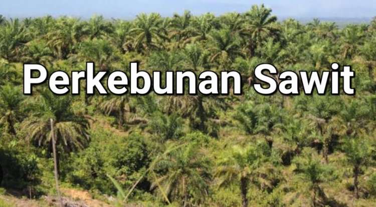 Terjadi Penyalahgunaan Wewenang Di PTPN III & VIII Kertajaya Picung, DPC DWI Kirimkan Surat Permohonan Konferensi Pers