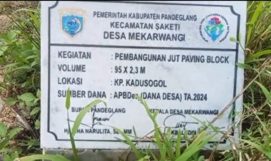 Aktivis GAMPI Mengkritisi, JUT Dari DD Tahun 2024 Desa Mekarwangi Saketi Yang Sudah Hancur