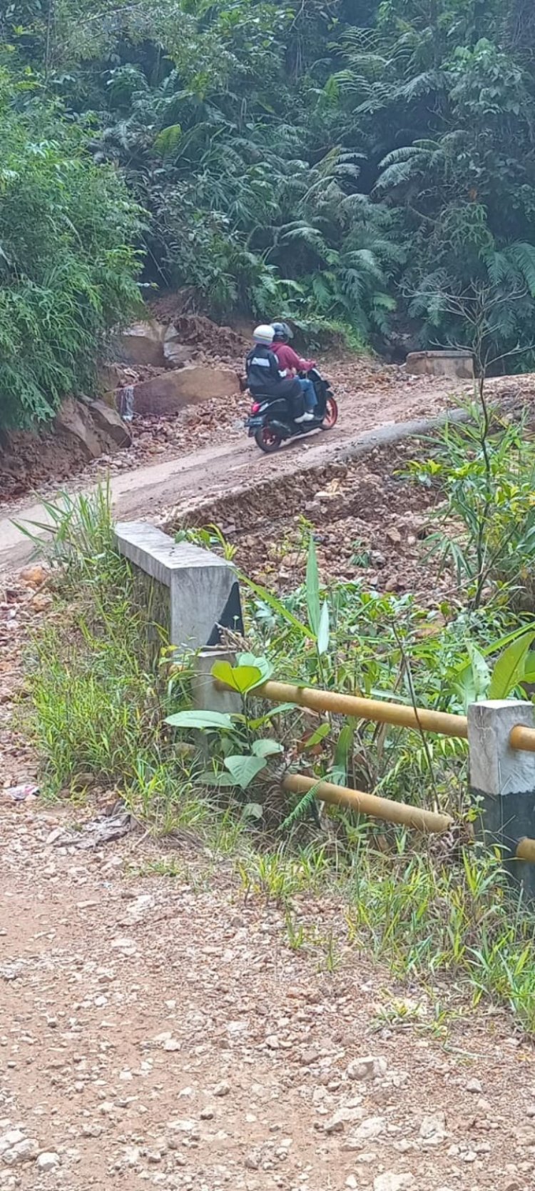 Tambang Emas Ilegal Di Gunung Sopal Wilayah Taman Nasional Desa Suka Mulya Kecamatan Cibeber Lebak Diduga Kebal Hukum