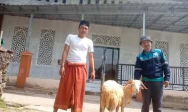 Momen Idhul Adha Team PT MBI Pengangkutan Batu Bara Di Popole Labuan Bagik