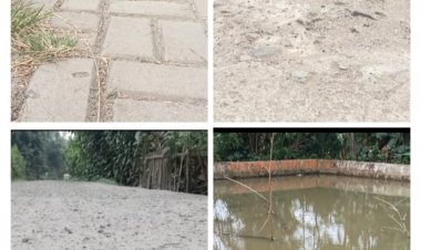 Diduga Pengerjaan Fisik DD Parumasan Asjad Dan Disinyalir Sepanjang Jalan Poros Desa Bangunan Fisik DD Terlihat Hancur Lebur.