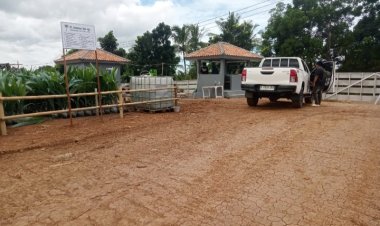 Pembebasan Lahan Oleh PT Perkebunan Dewa Agri Didesa Cimanis Kembali Memanas
