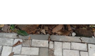 Diduga Kades Pamarayan Mencoba Mengelabui Publik Terkait Dugaan Pengerjaan Paving Blok Desa Pamarayan Yang Diduga Asjad.