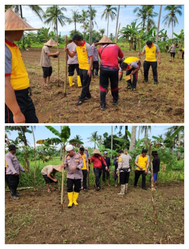 Laksanakan Program Ketahanan Pangan Presiden RI, Polsek Labuan Garap 2 Hektar Lahan.