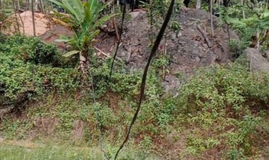 Tambang Batu Bara Ilegal Di Desa Cibobos Makin Menjamur Perhutani Diduga Tutup Mata,Bos-Bos Besar Raksasa Batu Bara Panen Milyaran.