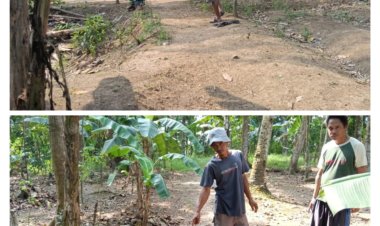 Tim investigasi GWI Kawal Masyarakat PasirMuncang Ajukan Penambahan Tiang PLN. Sejumlah 10 tiang berikut kabel jaringannya   