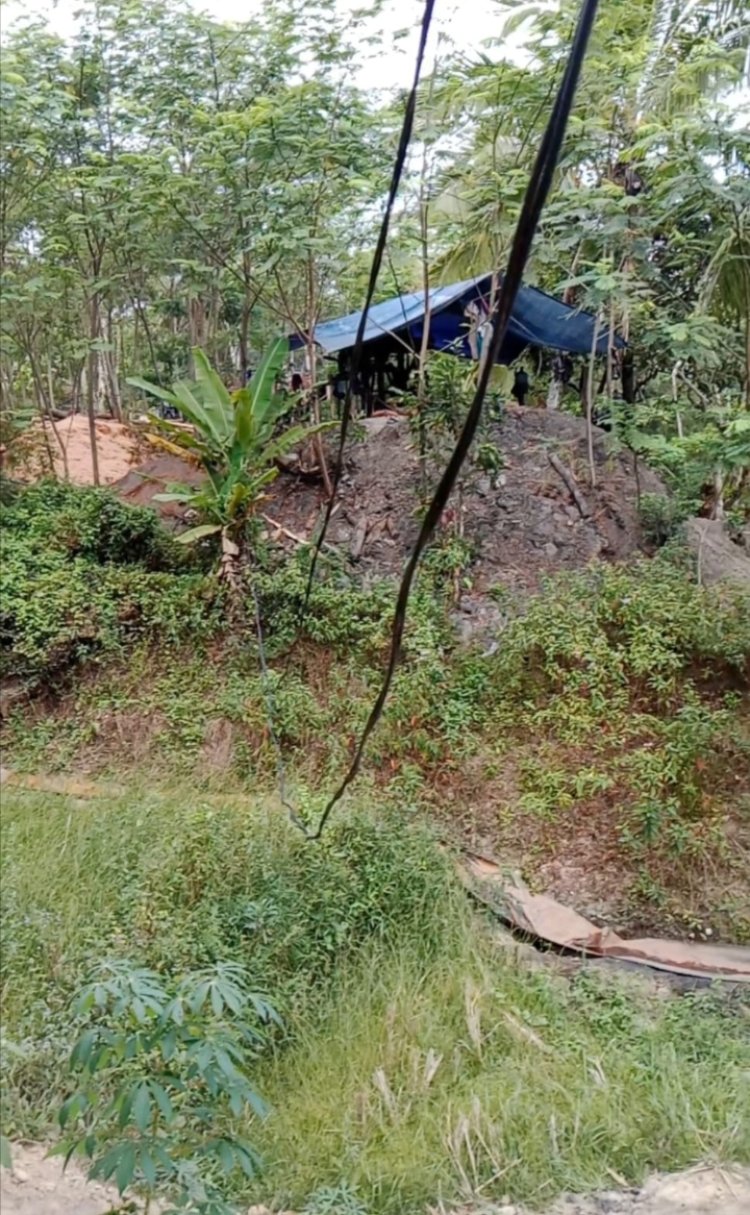Tambang Batu Bara Ilegal Di Desa Cibobos Makin Menjamur Perhutani Diduga Tutup Mata,Bos-Bos Besar Raksasa Batu Bara Panen Milyaran.