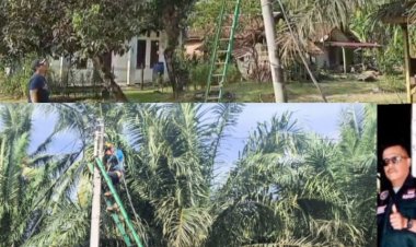 M. Sutisna Bersinergi dengan PLN Wilayah Pandeglang.Wujud Komitment Layanan Kesejahteraan Masyarakat.