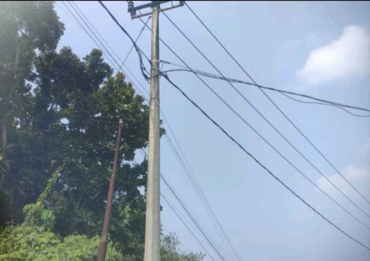 Tim investigasi GWI  Siap Mengontrol Dan Bekerjasama Di Semua Pelosok Terkait PLN Yang Berhubungan Langsung Dengan Kebutuhan Masyarakat.