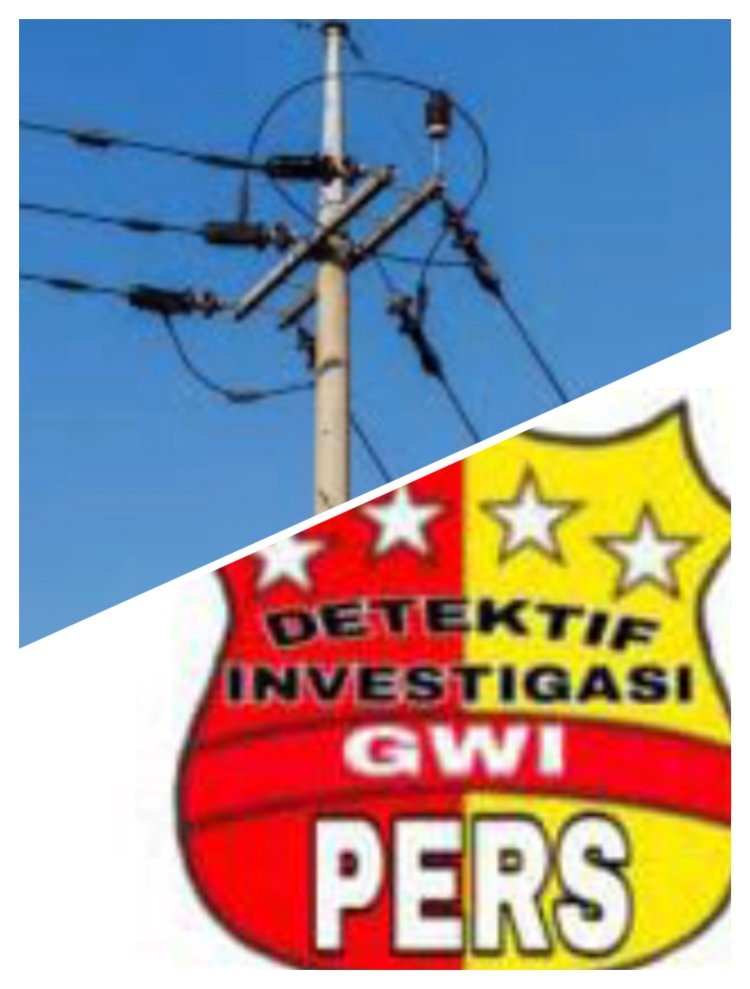 Tim Investigasi GWI Berkomitmen Siap Membantu Semua Elemen Berbagai Sektor   Berkaitan Dengan Kepentingan Masyarakat Terkait PLN Dan Kesehatan.