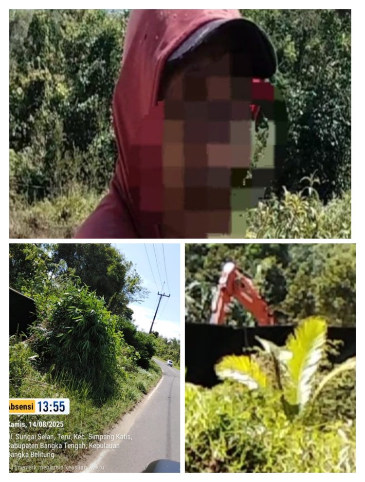 Tambang Timah Ilegal  Diduga Milik Oknum Kompi di Teru Simpang Katis Bangka Beroperasi Bebas dan mengancam alam, Diduga APH Tutup Mata.