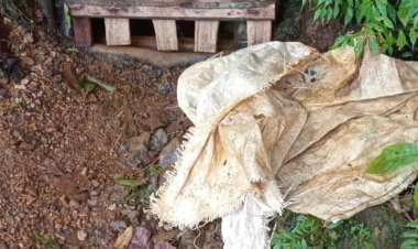 Diduga Tambang Emas Ilegal, Blok Genteng Sopal Desa Suka Mulya, Cibeber-Lebak Merusak Alam & Mengakibatkan Longsor.