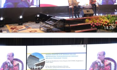 Sinergi Ditjen Bina Keuangan Daerah, OJK dan TPKAD Dorong Perekonomian Daerah