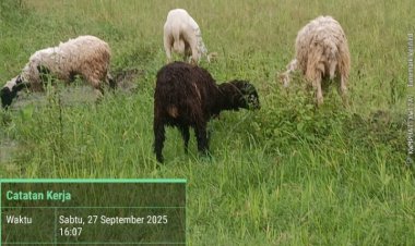 GWI Kecam Katapang  Didesa Turus Kecamatan Patia Diduga  Ada Markup Untuk Kantong Oknum Pribadi