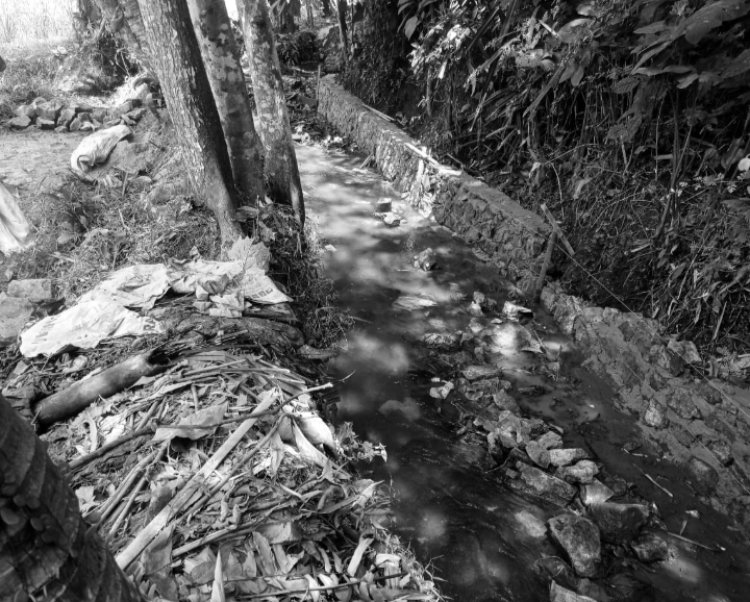 Pekerjaan Drainase Irigasi Dikampung Pasir Kelapa Desa Karya Sari Kecamatan Cikedal Diduga Tak Bertuan Dan Asjad.