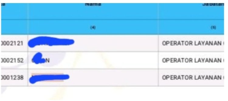 GWI Soroti Dugaan Banyaknya Honorer Siluman Masuk P3K Paruh Waktu Di Cibitung Pandeglang.