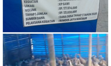 Ketahanan Pangan Kampung Sawi Desa Sampang Bitung DD Tahap Satu BUMdes Jaya Makmur Diduga Jadi Bebancakan Para Oknum.