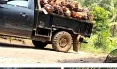 Masyarakat Desa Leuwidamar Tolak Mobil Pengangkut Sawit Milik PTPN Melintasi Jalan Poros Desa.