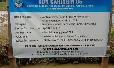 Diduga Minimnya Kepengawasan Dalam Pekerjaan Revitalisasi Di SDN Caringin 5 Labuan Sehingga Abaikan APD