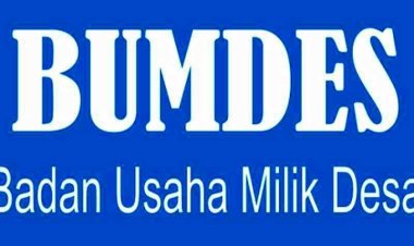 Anggaran Rp60 Juta untuk Wi-Fi BUMDes Di Cikeusik Diduga Mandek — Kepala Desa Sukamulya: Sudah Setahun, Internet Tak Kunjung Menyala!