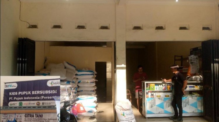 Kios Pupuk Resmi Didesa Sukajadi Diduga Milik Oknum Anggota DPRD Pandeglang,Jual Pupuk Subsidi Diatas HET