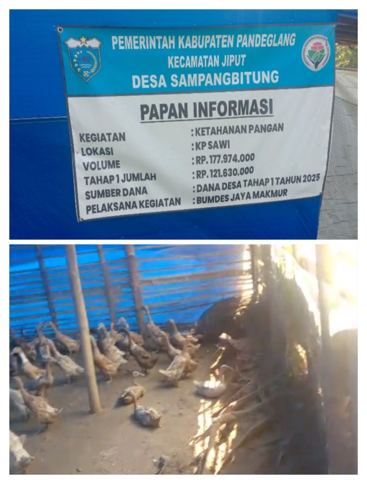 Dugaan Ketapang Desa Sampang Bitung DD Tahap Satu, BUMdes Jaya Makmur Diduga Acak-acakan' Ajang Korupsi Beberapa Oknum
