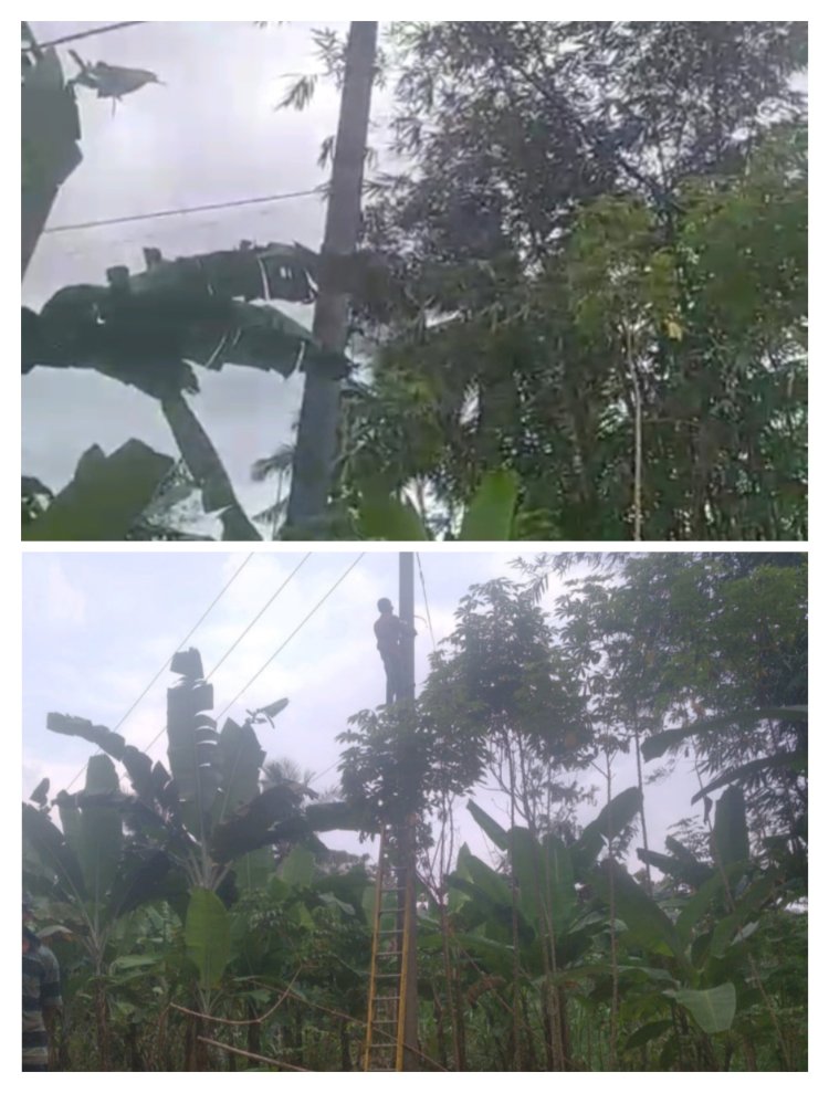 Warga kampung  Sukamulya Desa Kutakarang Kecamatan Cibitung Pandeglang Banten apresiasi kepada PT PLN Persero labuan dan Cibaliung