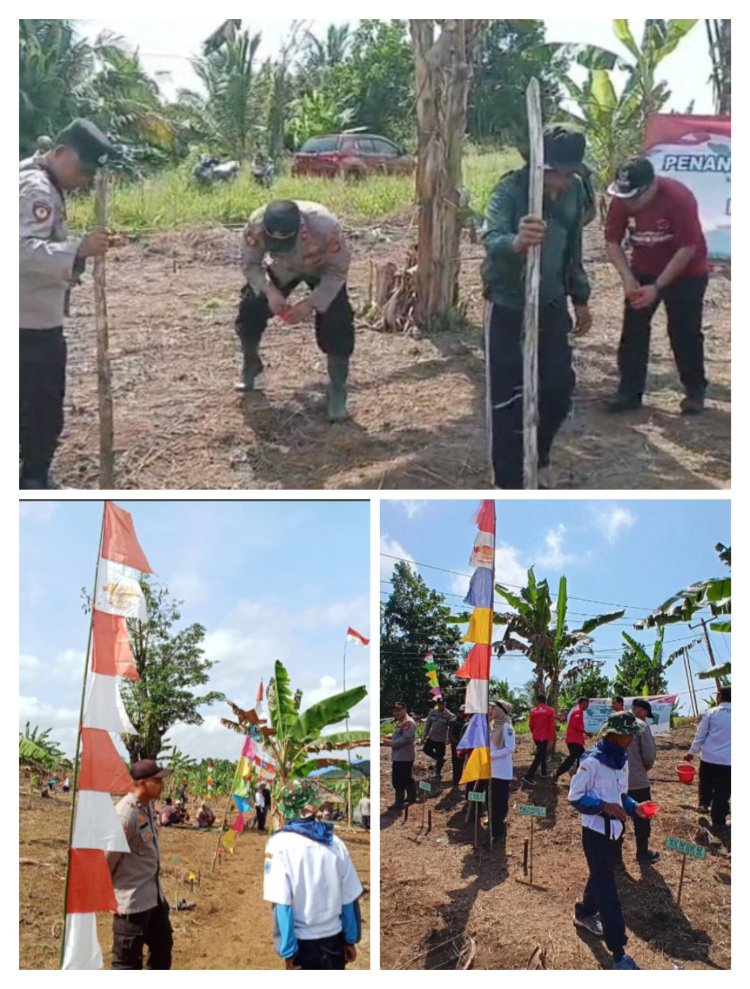 Kapolsek Cibaliung Beserta Jajaran Serta kepala Desa Cibingbin Lakukan Penanaman Jagung Tingkat Nasional, Didesa Cibingbin.