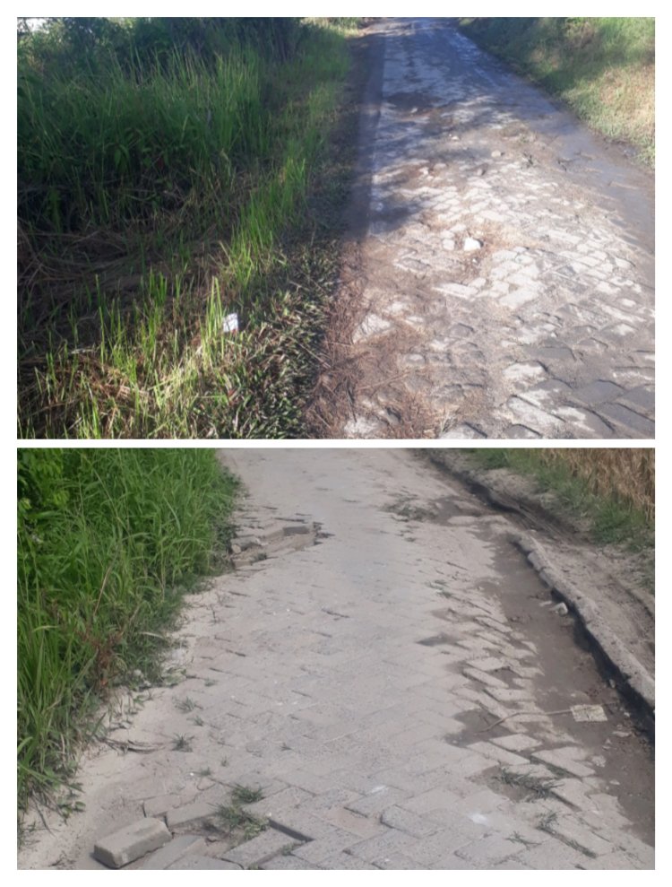 Jalan Rusak Di Kp. Salimah Tak Kunjung Di Perbaiki, Warga Geram Terhadap Kades Sukamanah