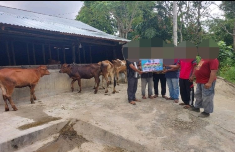 Seperti Sinetron Ketapang Desa Gampong Meurandeh Kecamatan Langsa Lama Kota Langsa-Aceh Diduga Raib Tak Berbekas