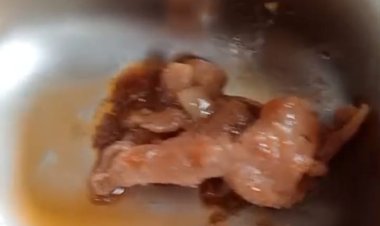 Dugaan Kejanggalan Program MGG di Sukaresmi Menguat: Siswa MTs Disebut Hanya Terima Irisan Sayur dan Kulit Ayam, Tanpa Nasi