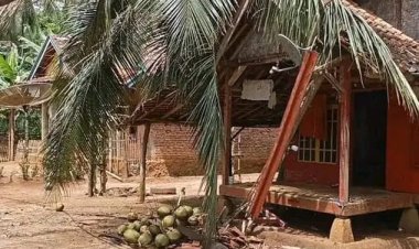 Salah Satu Rumah Warga Batu Hideung Rusak Parah Tertimpa Pohon Kelapa Tumbang