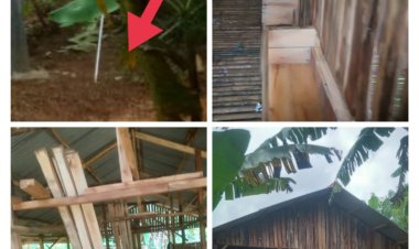 Ketapang Desa Nanggerang Kecamatan Cirinten Gelap -- LSM GMBI: Dinas Terkait Jangan Tutup Mata.