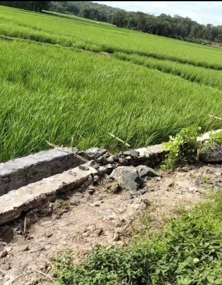 Diduga Pengerjaan Irigasi Tidak Sesui Spesifikasi Dan Kangkangi Undang Undang KIP --- Warga Pertanyaan Transparansi 