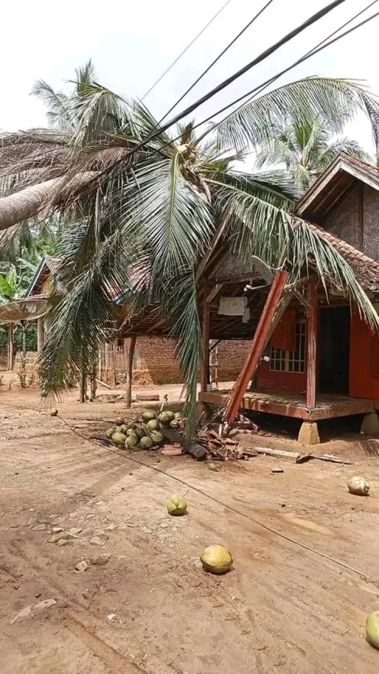 Salah Satu Rumah Warga Batu Hideung Rusak Parah Tertimpa Pohon Kelapa Tumbang