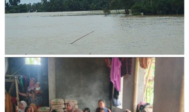 Ribuan Hektar Sawah Gagal Panen, Petani Alami Kerugian Besar